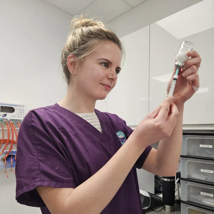 Emily Pringle BVetMed MRCVS